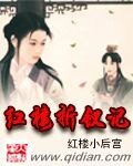 （红楼同人）红楼折钗记