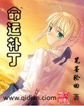 （动漫同人）命运补丁