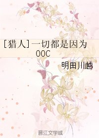 《(BL/猎人同人)一切都是因为OOC》