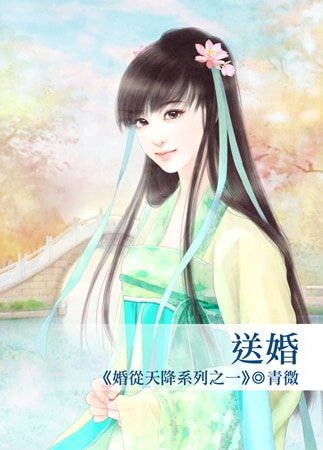 《送婚(婚从天降系列之一)》