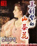 （乱世佳人同人）美利坚的山茶花