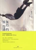 池袋西口公园06灰色的彼得潘