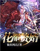 《花都赘婿》