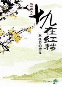 （综同人）[红楼+综]十九在红楼
