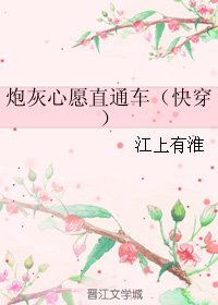 《炮灰心愿直通车(快穿)》