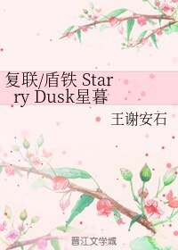 （BL/复联同人）复联/盾铁 Starry Dusk星暮