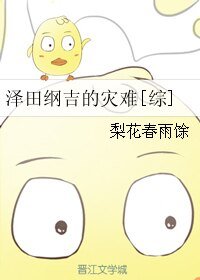 （BL/综漫同人）泽田纲吉的灾难[综]