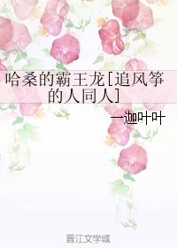 （BL/追风筝的人同人）哈桑的霸王龙