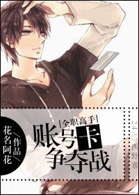 （BL/全职同人）[全职高手]账号卡争夺战