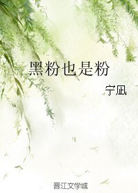 （BL/全职高手同人）黑粉也是粉