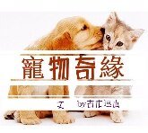 宠物奇缘（渣攻小白受）