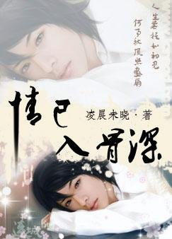情已入骨深/已道惘然，燊始惜非