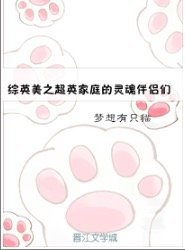 《(BL/综同人)综英美之超英家庭的灵魂伴侣们》