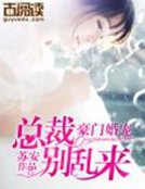 豪门婚宠：总裁别乱来