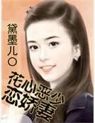 花心恶少恋娇妻