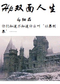 《(HP同人)Hp双面人生》