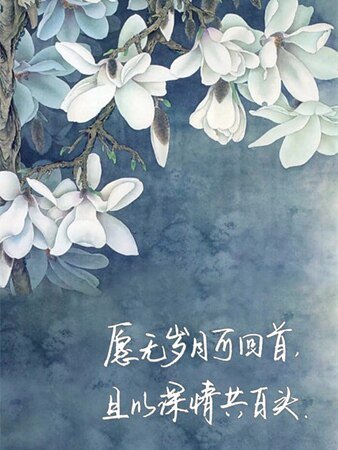 阁主历劫记