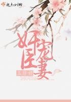 《奸臣宠妻》