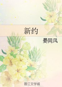 新约