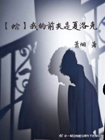 （综同人）[综]我的前夫是夏洛克