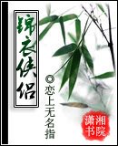 《锦衣侠侣》