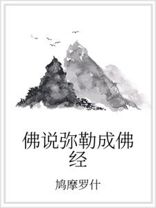 佛说弥勒成佛经