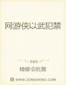 《网游侠以武犯禁》