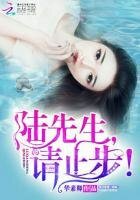 《陆先生,请止步!》