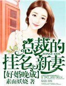 好婚晚成：总裁的挂名新妻
