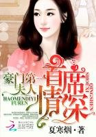 首席情深:豪门第一夫人