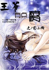 《王爷有点腐》