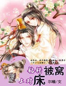 《钻错被窝上对床(琦江国系列之一)》