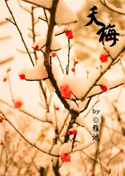 《夭梅》
