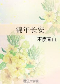 锦年长安