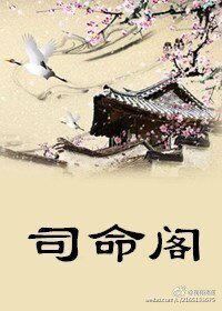 司命阁