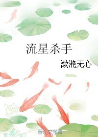 （策马啸西风同人）流星杀手