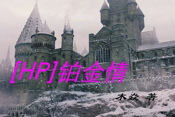 （HP同人）铂金情