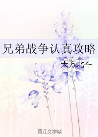 （兄弟战争同人）兄弟战争认真攻略