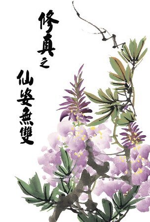 修真之仙姿无双