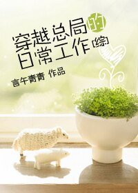 （综影视同人）[综]穿越总局的日常工作