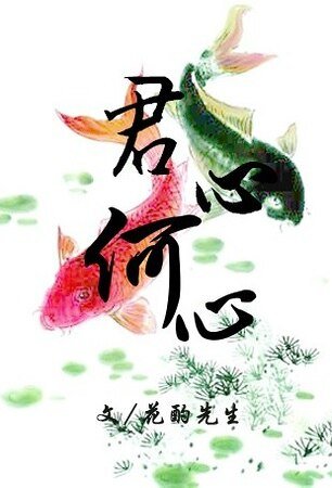 《君心何心/莫问朱颜》