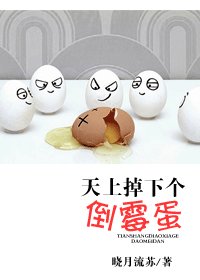 《天上掉下个倒霉蛋》
