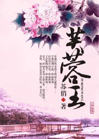 《芙蓉王》