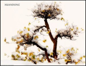 《中国风短篇(BL)集》