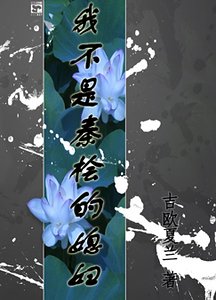 我不是秦桧的媳妇！