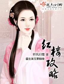 （红楼梦同人）红楼攻略
