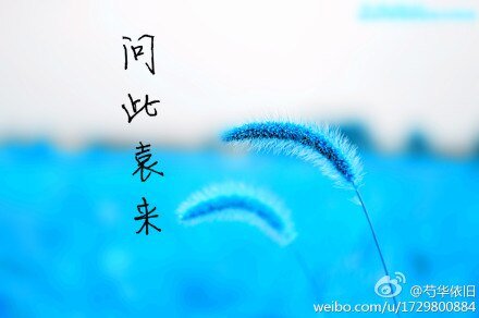 （士兵突击同人）问此袁来