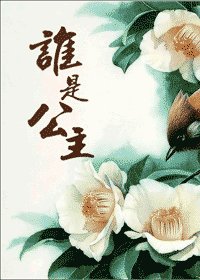 谁是公主