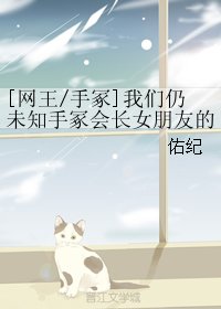 （网王同人）[网王/手冢]我们仍未知手冢会长女朋友的名字