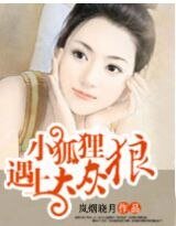 小狐狸遇上大灰狼
